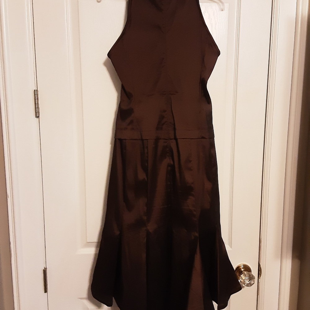 Tadashi Shoji Elegant Brown Dress